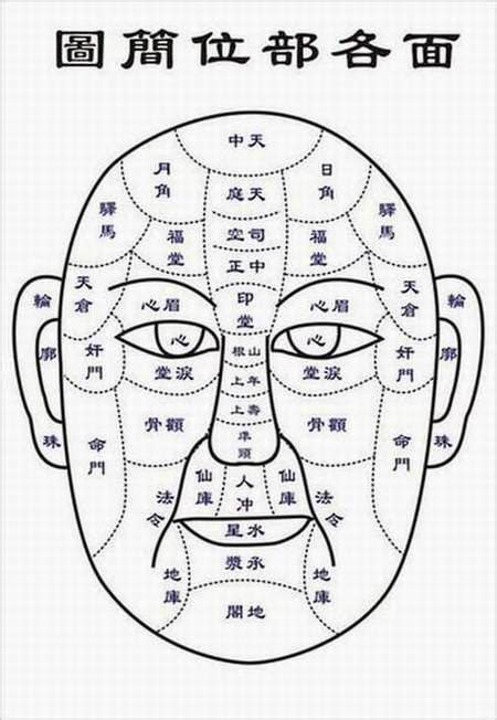 面相学|面相學